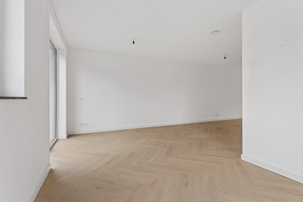 13-Moerasorchidee 13 - Lelystad.jpg